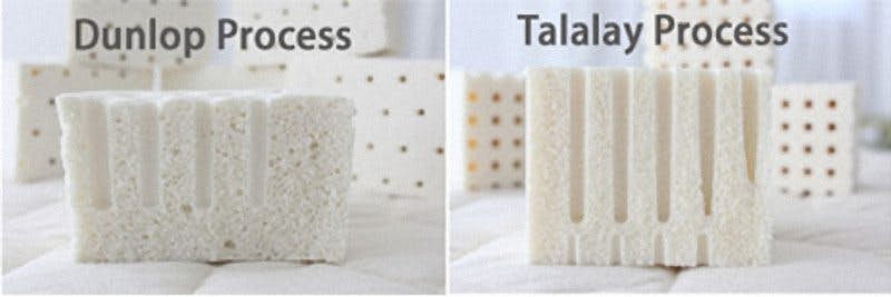 Dunlop Latex vs Talalay Latex