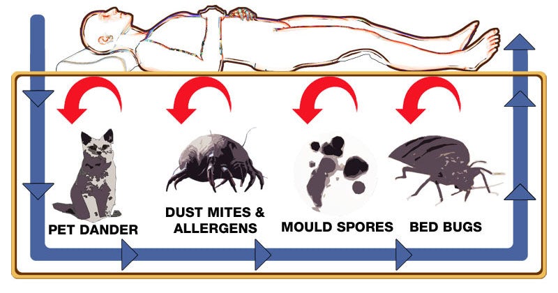 hygiene-related mattress